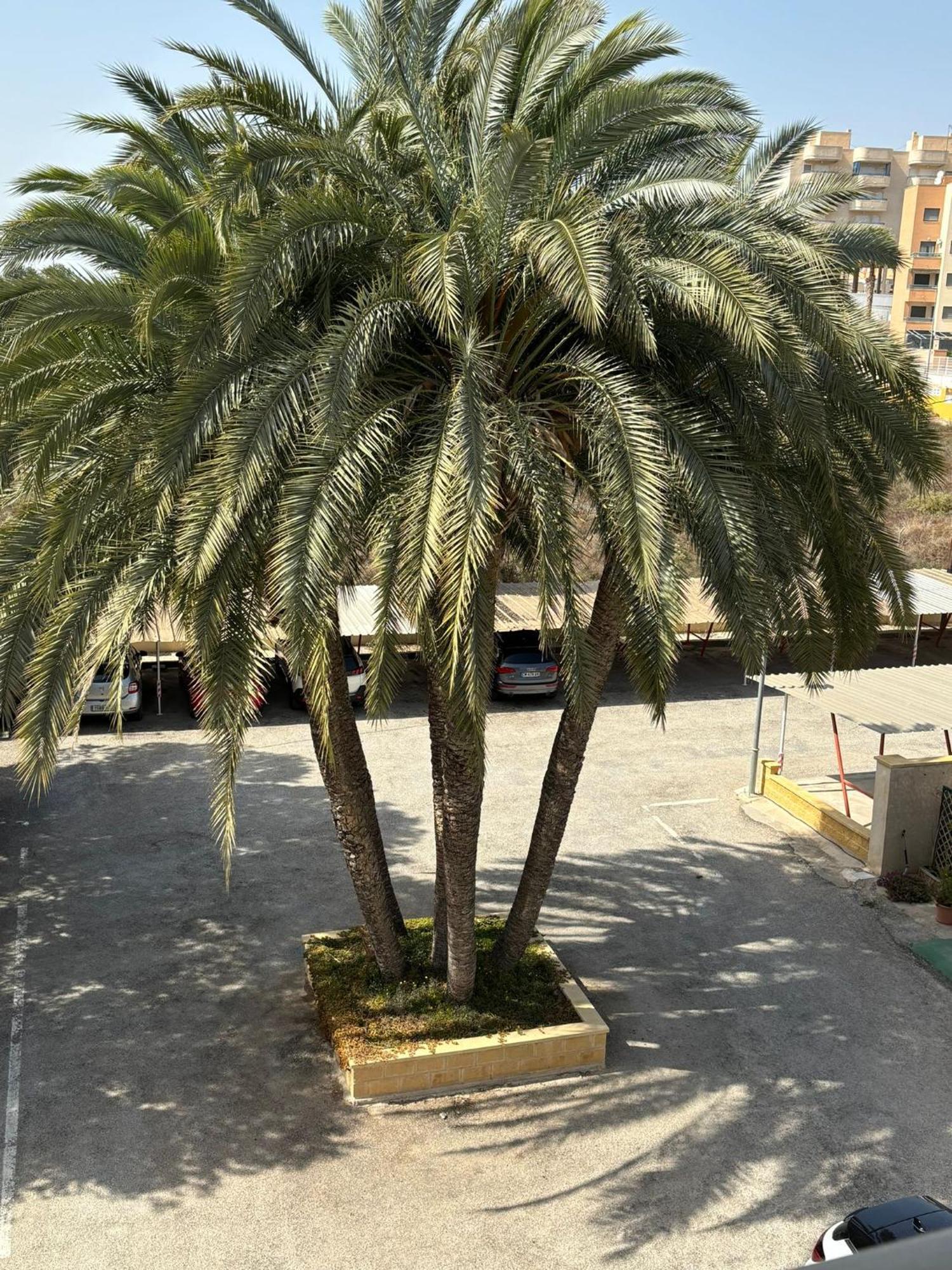 Apartamentos Congo El Campello Exterior photo